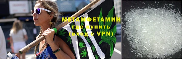 прущие грибы Слюдянка