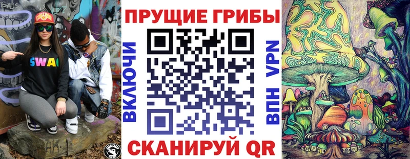 Псилоцибиновые грибы Psilocybe  Цивильск 